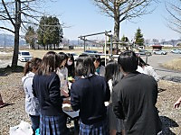Smallp1260522_2